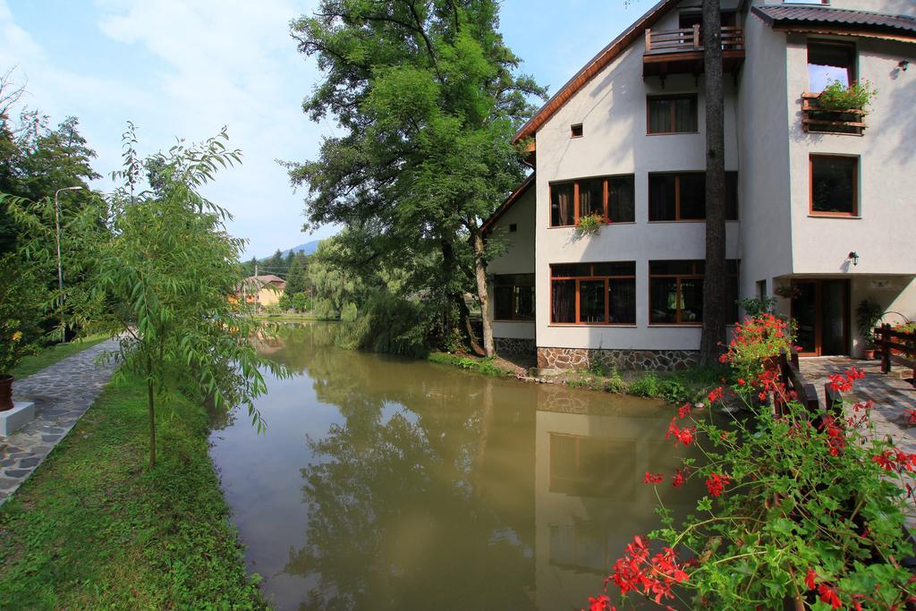 מונסה Guest House Lacul Linistit מראה חיצוני תמונה
